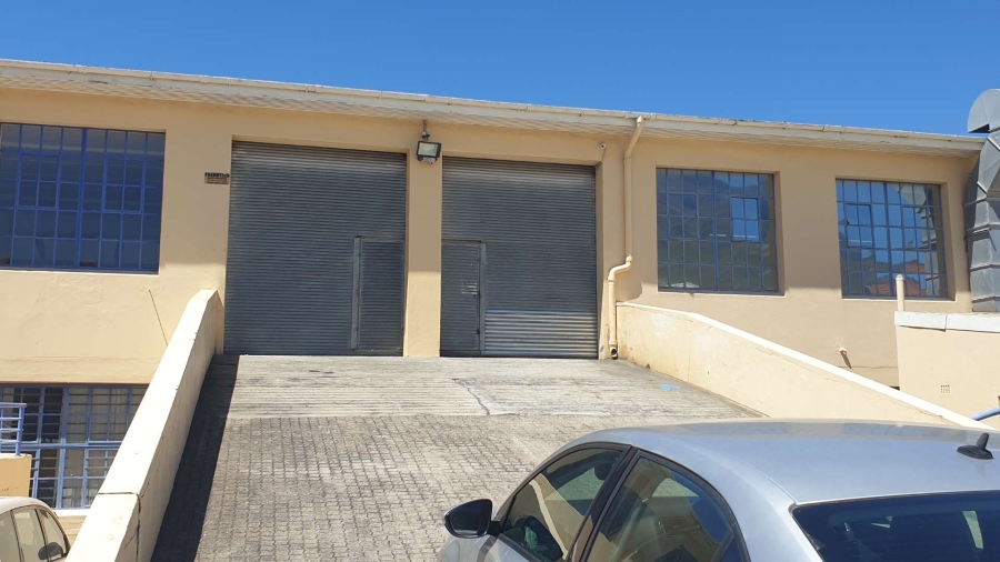 To Let commercial Property for Rent in Observatory Western Cape